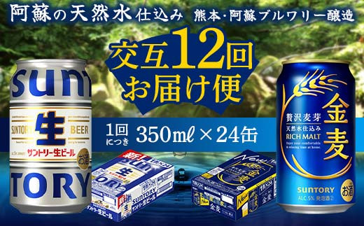 yF{ÓzFK7-0175 yTg[r[E12ցze350ml ×24{ Mtg 蕨  AR[