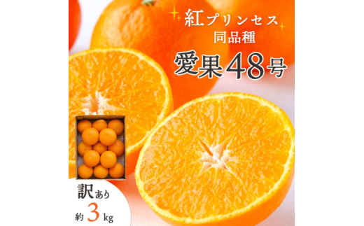 yQlsz2026NugvZXvƓi!Qʎ48 3kg󂠂聄E25-174_ ݂ 󂠂  ~J Q k 񂫂  ʕ  t[c fU[g 3kg