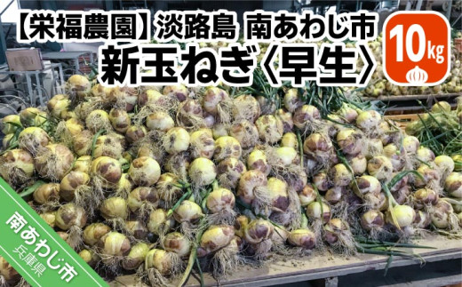 �ԗ�i�摜