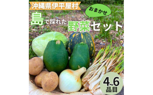yꌧɕzō̂ꂽVN؋lߍ킹Zbg(4`6i)y1606515z