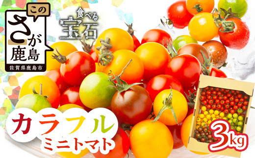 yꌧszys\zyb܎܁z i񂿂̃Jt~jg}g 3kgi5Fjy1zJnzL@엿Ew엿sgpbYҒ  Ƃ܂ T_  