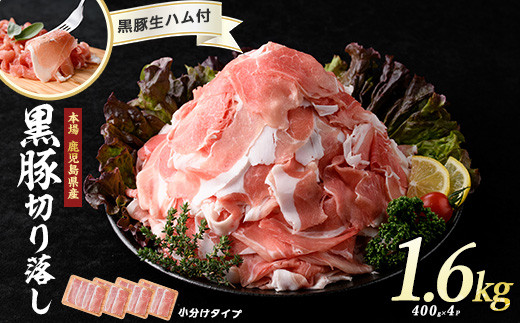 sd1_7a2fff09036c58d8fb39c7ba7c