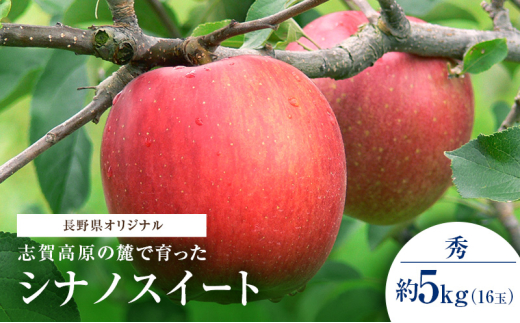 志賀高原の麓で育った シナノスイート 秀16玉 約5kg りんご フルーツ