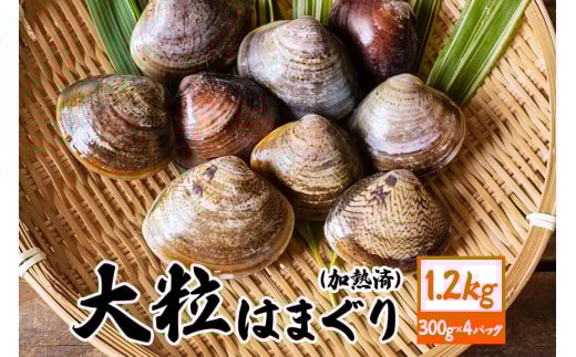 y錧sz錧Y 嗱͂܂ M 300g×4pbN Y ͂܂ n}O Y sv ȒP  z  LX̌Ii p Mtg 퉷 錧