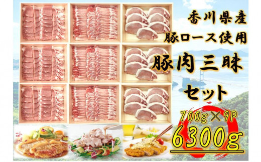 y쌧osz쌧Y@ؓOZbg6300g