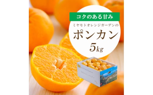 【愛媛県八幡浜市】<2026年1月以降発送>愛媛の新春柑橘 芳醇な香りのポンカン5kg<D25-124>【1248058】