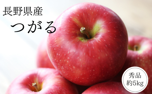 MS05-25A りんご つがる（長野県産秀品） 約5kg / 2025年9月上旬
