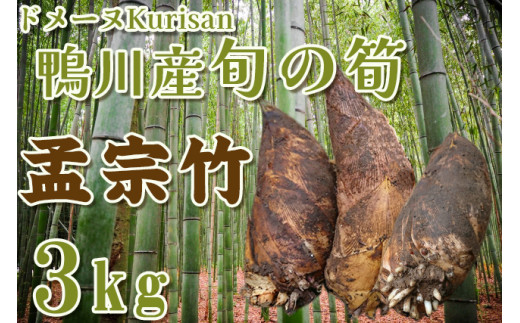 ドメーヌKurisan】鴨川産 旬の筍「孟宗竹」3kg[0011-0067] - 千葉県