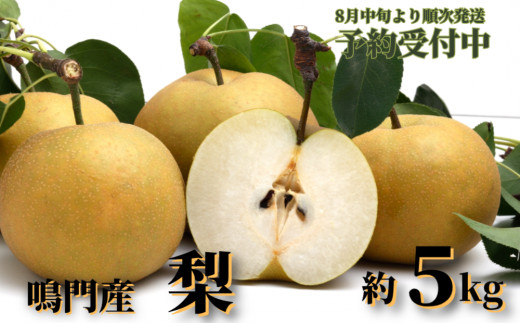 予約受付中】濱田農園 かおり梨 約5kg 【数量限定】【9月上旬 予約受付中】濱田農園 かおり梨 約5kg 【数量限定】【9月上旬