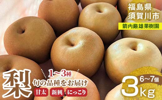梨 甘太 新興 にっこり 1～3種入り 3kg 6～7個 ＜箭内厳雄果樹園＞ F7X