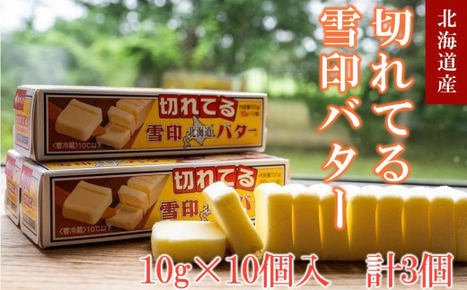 切れてる 雪印 北海道 バター（10g×10個入）×3個【 乳製品 バター 雪印