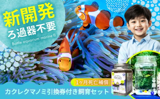 クマノミ 海水魚飼育セット