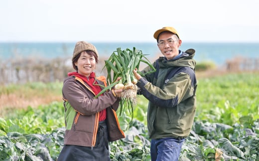 yɌWHszyWĤ܁`Vʂ˂zWHt@[zƊC Ԍł͂ 5kgy2026N3{`5{z