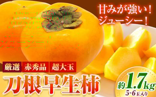 ya̎RzԏGi  `  1.7kg 6 ̉w ̗s2026N9-10oׁt a̎R  ʕ t[c `  ` { st-p