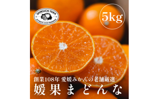 2025年3月発送開始>ブラッドオレンジ 10kg 愛媛みかんの老舗 2025年3月発送開始>ブラッドオレンジ 10kg 愛媛みかんの老舗