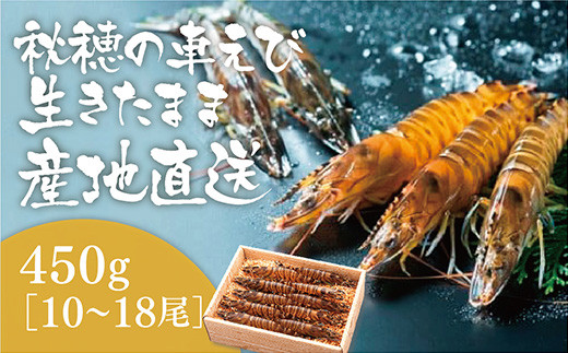 D090 活きあいおえび450g（10～18尾） - 山口県山口市｜ふるさと