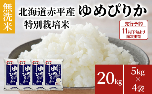 ykCԕszys\2025NYāE11{菇oׁz kCԕY ߂҂肩 20kg (5kg×4) ʍ͔|  kC  ӂ邳Ɣ[
