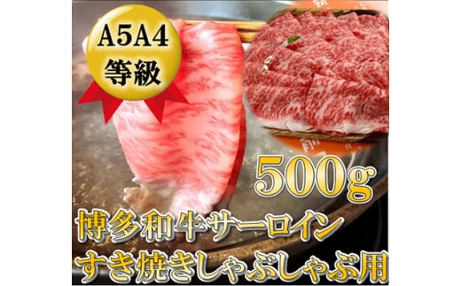 ygxzyA5?A4IzT[C Ԃԗp 500g gx/Ѓ`N[ [BGAP004] 