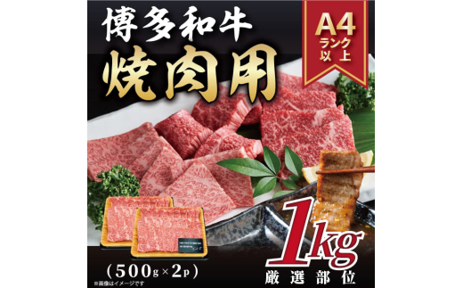 ygxzyA4?A5z a ēp 1kg(500g×2p) gx/MEAT PLUS [BGAB033]    Ԑg ē Ă ēZbg ĂMtg ₫ɂ BBQ o[xL[ Mtg Ⓚ Y l
