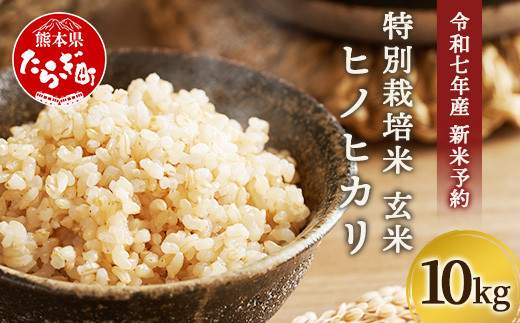 令和7年 新米予約】特別栽培米「ヒノヒカリ 玄米」10kg 井上農園 10月