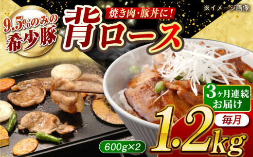 y茧zy11.2kg×3ցz吼CSPF w[Xiēpjv3.6kg 茧/茧_ [42ZZAA073]