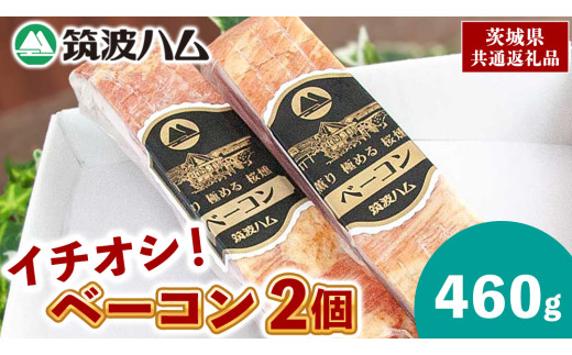 y錧vsz}gn C`IV x[R 2 v460g 錧Y w 헤̋P x uh  ( 錧ʕԗi )   n X[N Z