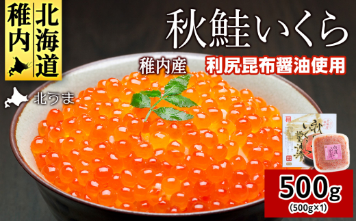 ykCtsz@JCYHݖЂ500g_  CN  CN  H ݖЂ  ֗ 500g kC Y Yn  lC   VR  Mt