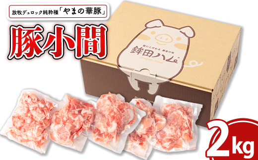 y錧gcszqfbNu܂̉ؓ؁v؏200g×10pbN