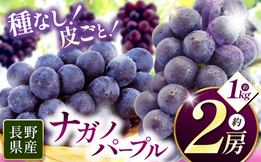 先行受付：2026年発送】 信州産 ナガノパープル 2房（約1kg