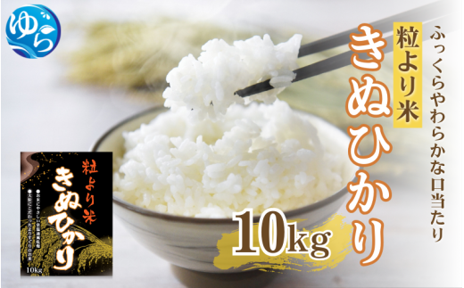 新米 令和6年産キヌヒカ10キロ 和歌山よりお届け