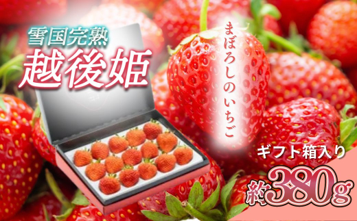 yVzsz V ፑnzPVOi380gjMtg C`S  t[c  蕨 z