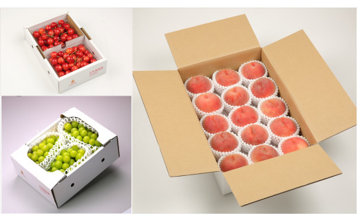 yR`Vsz08-03-112@ʎLOxXg3t[c