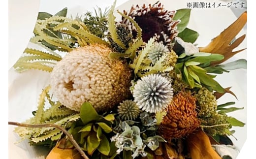 y茧ދnz CeA hCt[ AWg LTCY [~hu 茧 ދn hs42bag220002]  AWgt[ AWg ֏