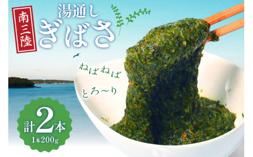 y{錧OzC  ʂ ΂ 2{ Zbg [O񂳂}VF {錧 O m304amh600082] Ⓚ Y AJN