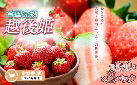 yVzsz 3y3`5zፑnzP 170g×2S3 z zP   n  V