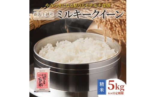 yVzszs\ ߘa8NY VzY~L[NC[ y6A͂z 5kg×6 30kg 6 ~L[NC[    V VY ɂ z zY