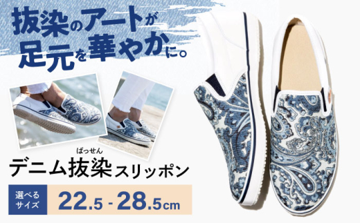 yLRszC fji΂jXb| 24.5cm C t@bV V[Y  yCY[ Y fB[X LRs/RzH [BADS012]