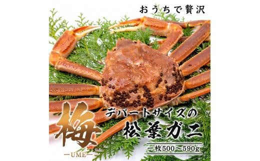 y挧szy~zɑItKj i{Cj 500g uh^Oti`Nj