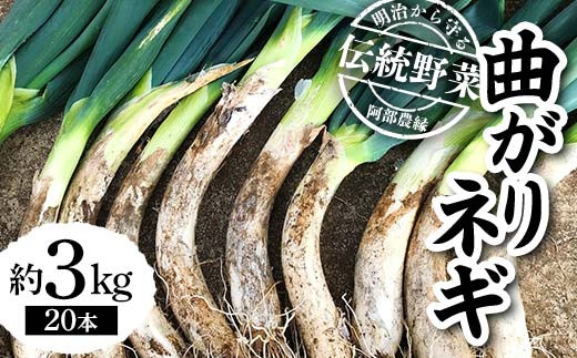 明治から守る伝統野菜「曲がりネギ」約3kg F7X-0075 - 福島県須賀川市