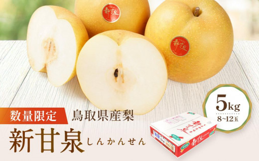 先行予約】数量限定 鳥取県産梨 新甘泉（しんかんせん）5kg（8～12玉