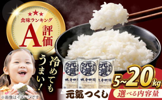 元気つくし 20kg （5kg×4袋） 米 こめ コメ お米 ご飯 ごはん 精米