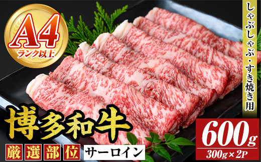 yzyIʁzyA4`A5zaT[CԂԂĂp(600g) Y BY Y  a јa XLL ₫ yMEAT PLUSzas08-055