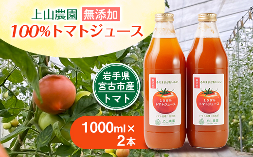 y茧{Îsz茧{ÎsY@R_̖Yg}gW[XEEEۑsgpy1567646z