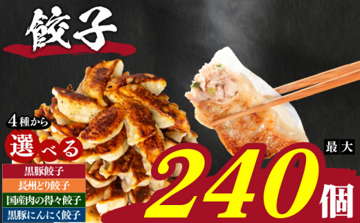 日指定可】 訳あり 餃子 72or180or240個 冷凍 小分け 選べる 日指定可】 訳あり 餃子 72or180or240個 冷凍 小分け 選べる
