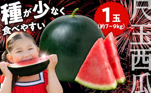 先行予約・26年6月以降発送】尺玉西瓜(すいか) 1玉（約7kg〜9kg