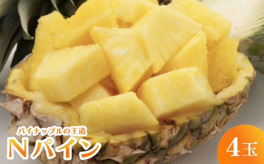2026年7月から順次発送＞パイナップルの王道 Nパイン4玉【1584608