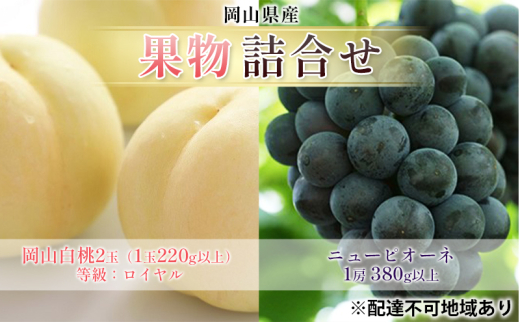 yRsz[5615-0709]Ԃǂ 2026N s\ ʕ l R  2 FCi1220gȏj j[ sI[l 1[ 380gȏ   RY Y t[c ʕ Mtg