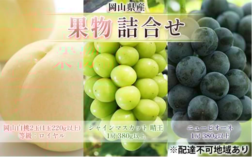 yRsz[5615-0710]Ԃǂ 2026N s\ ʕ l R  2 FCi1220gȏj VC}XJbg  1[ 380gȏ j[sI[l 1[ 380gȏ   R