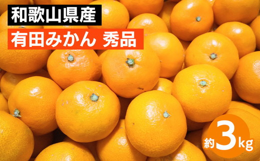 【和歌山県美浜町】和歌山県産 有田みかん 約3kg 秀品 ※2025年10月中旬〜2026年1月下旬頃に順次発送予定 ※北海道・沖縄・離島への配送不可