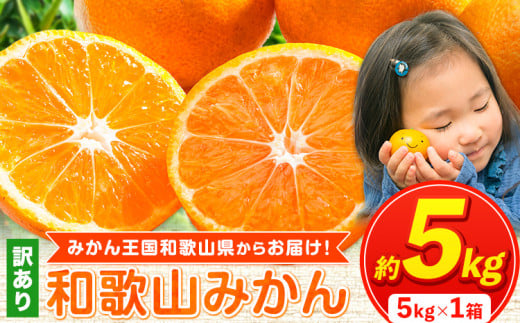 ya̎RI̐sz݂ lCLO NC ݂񉤍a̎R肨͂I 󂠂݂ TCYsI Iׂe 5kg Ղ ƒp 2L`2S Yn ݂ { 